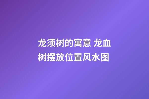 龙须树的寓意 龙血树摆放位置风水图